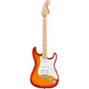 SQUIER by FENDER Contemporary Stratocaster Special Black