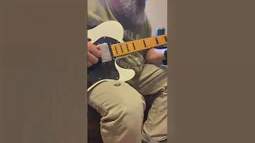 Fender Squire | Classic Vibe ‘70s Telecaster Thinline Limited Edition | 7th guitar for my collection