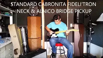 Fender Squier Vintage Modified CABRONITA Custom DeArmond Dynasonic V's Standard Fender CABRONITA